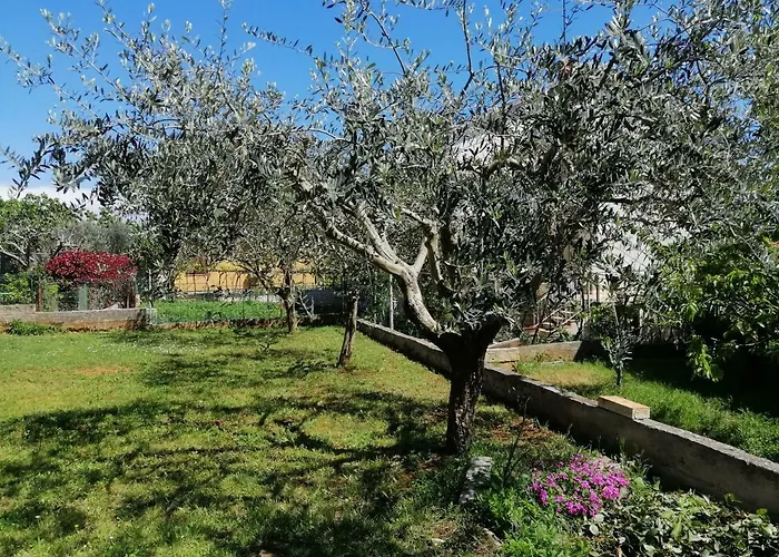 Апартаменты Suzy