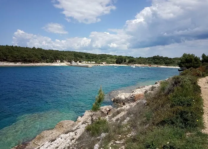 Апартаменты Suzy